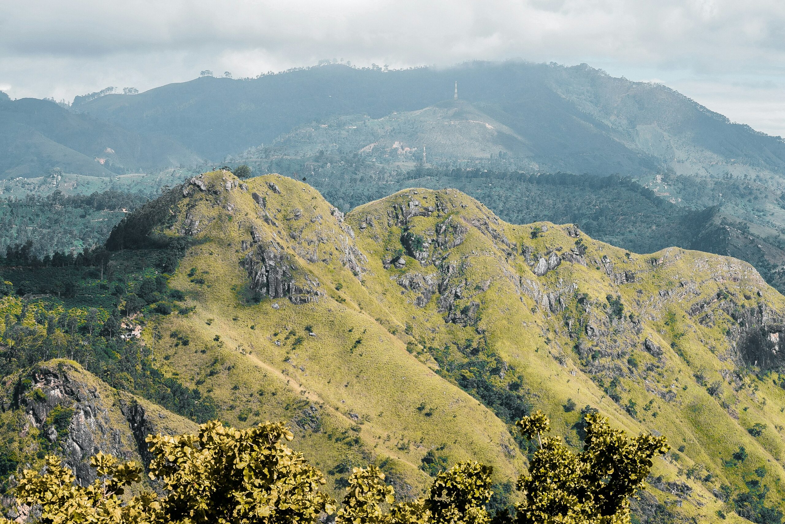 kasun-peiris-LqzdoROuweo-unsplash