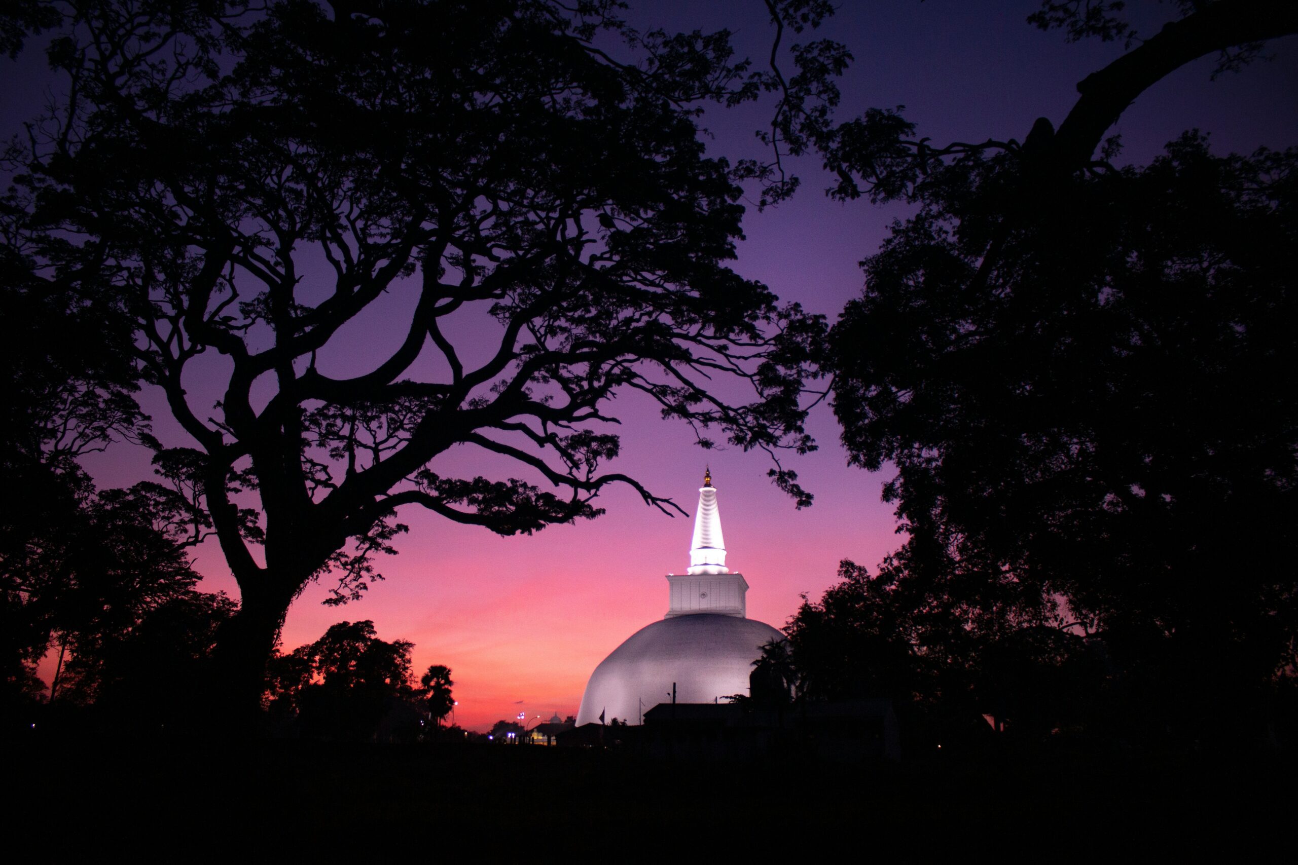 chathura-anuradha-subasinghe-_M4yPHONK58-unsplash