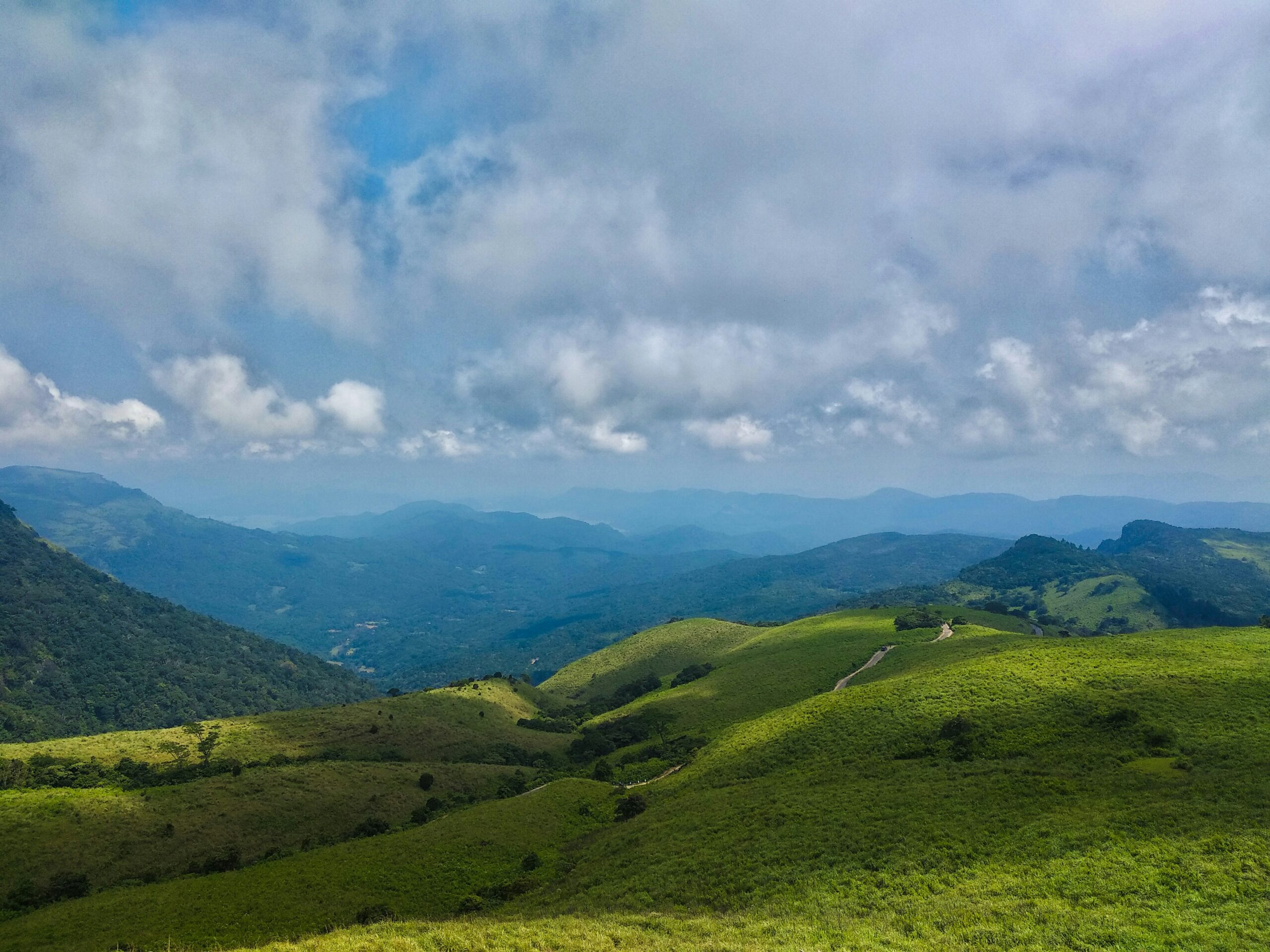 ishara-adikaram-TA4MZe6mipI-unsplash
